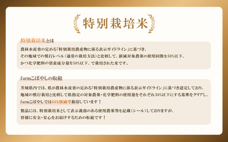 新米 米 令和7年産 ミルキークイーン 5kg 12月出荷 特別栽培米 真空パック 新米