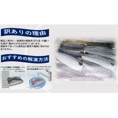 ふるさと納税 銚子市 【訳あり】塩さば(冷凍)約2.0kg　銚子東洋のさばフィーレ規格外 |  | 02