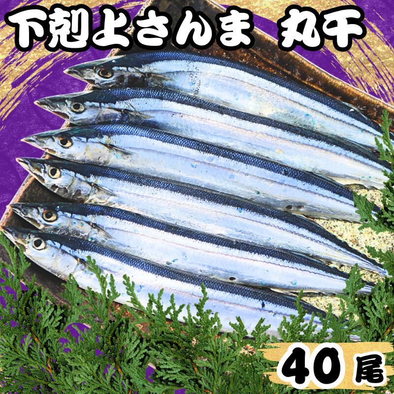 【ふるさと納税】 さんま 下剋上さんま 丸干 40尾 国産 さんま 冷凍 サンマ 秋刀魚 正規品 無添加 大容量 国産 丸干し 旬 季節の味覚 銚子 海の幸 海鮮 干物 新鮮 贈り物 グルメ おかず おつまみ ビール 日本酒 お取り寄せ 千葉県 銚子市 ヤマニンベン