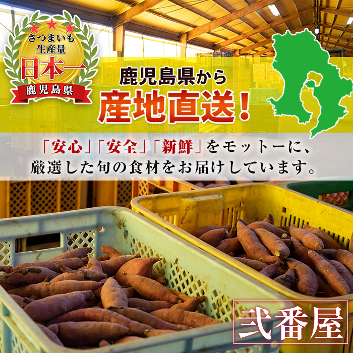 s604 ≪先行予約受付中！2025年11月上旬より順次発送予定≫《期間限定》鹿児島県産紅はるか生芋(5kg) 鹿児島 お芋 生芋 べにはるか 紅はるか さつまいも サツマイモ 薩摩芋 焼き芋 おかず