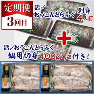 【全3回定期便】活〆おうごんとらふぐ刺身4人前セット　3回目鍋用切身800g付【999-0014】