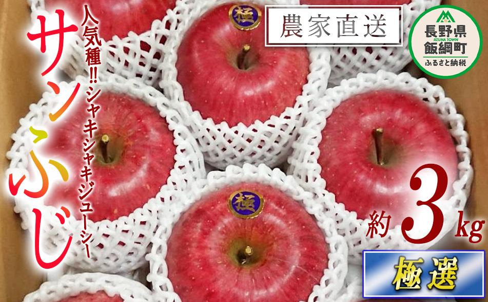 
            りんご サンふじ 極選 3kg やまじゅうファーム 沖縄県への配送不可 2025年12月上旬頃から2025年12月下旬頃まで順次発送予定 令和7年度収穫分 信州の環境にやさしい農産物 減農薬栽培 特秀 秀 グルメ 長野県 飯綱町 [0536]
          
