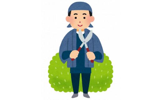 敷地内の庭木の剪定【要：事前問合せ】
