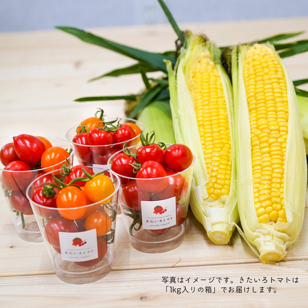 【ふるさと納税】きたいろトマトと朝もぎトウキビのセット【選べる容量（800g・8本 / 1.6kg・16本 / 2.4kg・24本）】朝もぎトウキビ きたいろトマト【2025年8月上旬-9月上旬迄発送予定】とうもろこし フルーツトマト 北広島市産 北海道産 送料無料