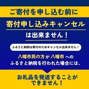 ビュッフェレストラン「八幡家」 食事券 大人ペア ランチ ビュッフェ 八幡市 京都