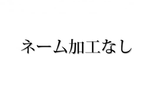 [№5695-7015【島田の逸品】]1104木こりの積木ランド L（ネームなし）