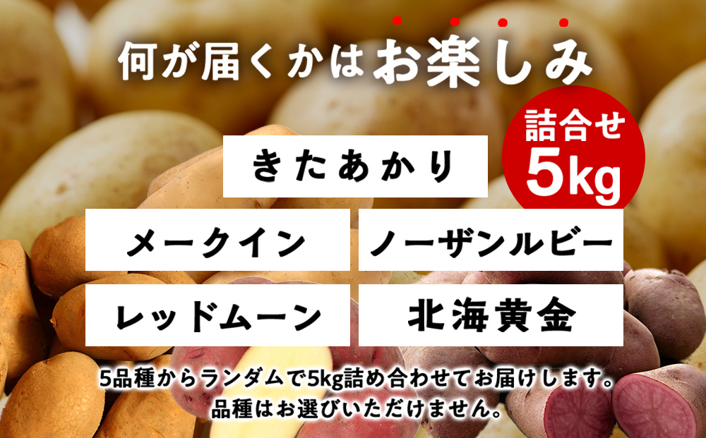【10月発送！】北海道産 じゃがいも 訳あり 5kg"お楽しみランダム"きたあかり メークイン ノーザンルビー レッドムーン 北海黄金