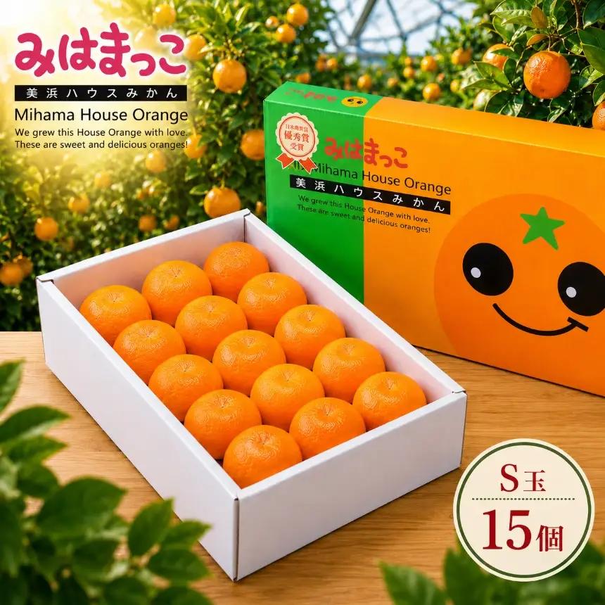 みはまっこ（S玉/15個） 平詰化粧箱 | みかん 季節限定 先行予約 愛知県 美浜町