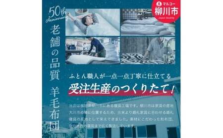〈選べるカラー〉 洗える 布団セット 3点 （掛け布団 （150cm × 210cm） ／ 敷布団 （100cm × 210cm） ／ まくら （43cm × 63cm） ） シングル 防ダニ 抗菌 