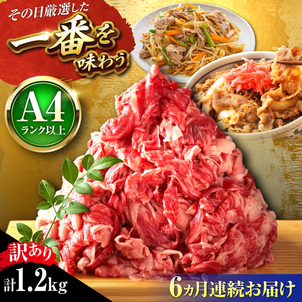【ふるさと納税】【全6回定期便】【訳あり】【A4~A5】博多和牛 切り落とし 1.2kg (600g×2P) 吉富町/株式会社MEAT PLUS[BGAB093] 肉 牛肉 和牛 黒毛和牛 切落とし きりおとし 国産 炒め物 すき焼き しゃぶしゃぶ 牛丼 小分け 冷凍 福岡 ギフト 肉ギフト 訳あり 食品
