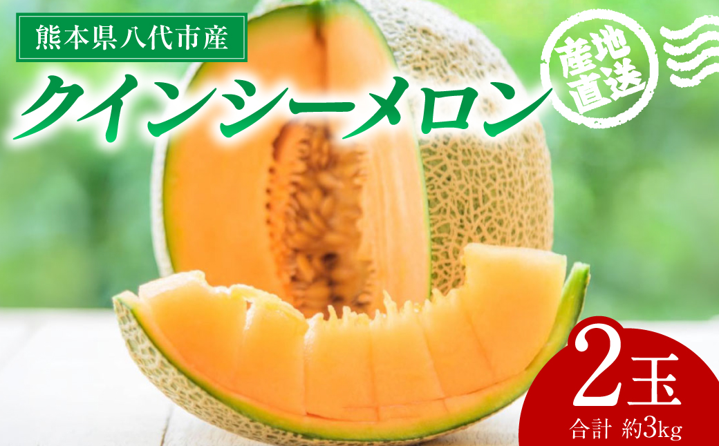 【先行予約】産地直送 クインシーメロン 2玉 約3kg クインシー メロン めろん 赤肉メロン 赤肉 果物 くだもの フルーツ デザート 贈り物 国産 熊本県 八代市【2026年5月下旬より順次発送】