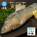 【ふるさと納税】天然鮎(冷凍) 島根県産 約800g 10尾前後 特産品 川魚 一級河川 江の川