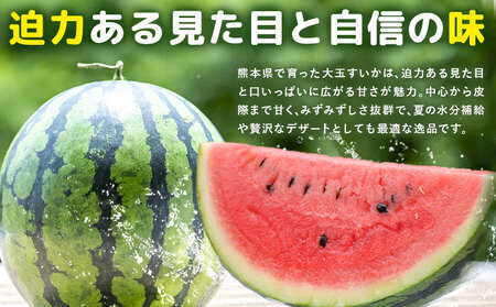 【先行予約】大玉すいか 1玉約5kg 日本フルーツ株式会社《5月上旬-６月下旬頃出荷》熊本県 菊池市 すいか スイカ 大玉 熊本県産