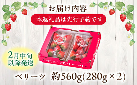 【先行予約・2月中旬以降発送】 「ベリーツ」平大玉 約280g×2パック　日田市 / 株式会社スカイファーム[AREU001]