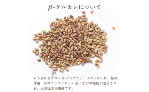 もち麦せんべいセット 10個×6袋 せんべい 贈り物 ギフト 小分け もちむぎ