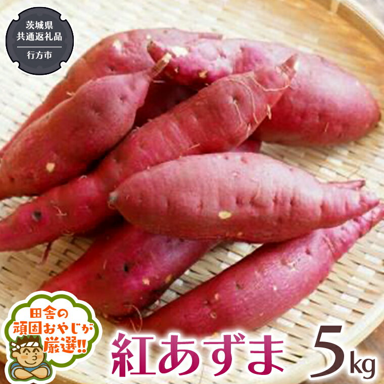 【ふるさと納税】紅あずま 5kg （茨城県共通返礼品 [さつまいも]：行方市産） さつまいも 紅あずま 芋 いも 野菜