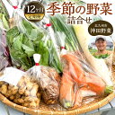 【ふるさと納税】【12回定期便】若松産 神田野菜季節の 野菜 詰め合わせ 12回 季節の野菜 新鮮 旬 鮮度 季節 生野菜 やさい 12ヶ月 冷蔵 国産 福岡県 北九州市