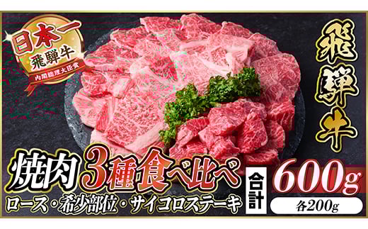 
            飛騨牛　厳選焼肉3種食べ比べセット(ロース・希少部位・赤身サイコロステーキ)　600g　BBQ用【1487320】
          