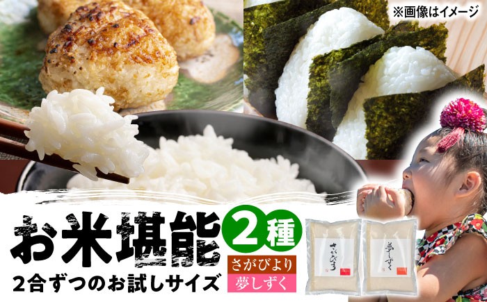 
            【特A評価獲得】武雄産米 2種お試し食べ比べセット さがびより・夢しずく 2合(300g)×2袋 /株式会社 y’s company（utsu和ya） [UDX022]
          