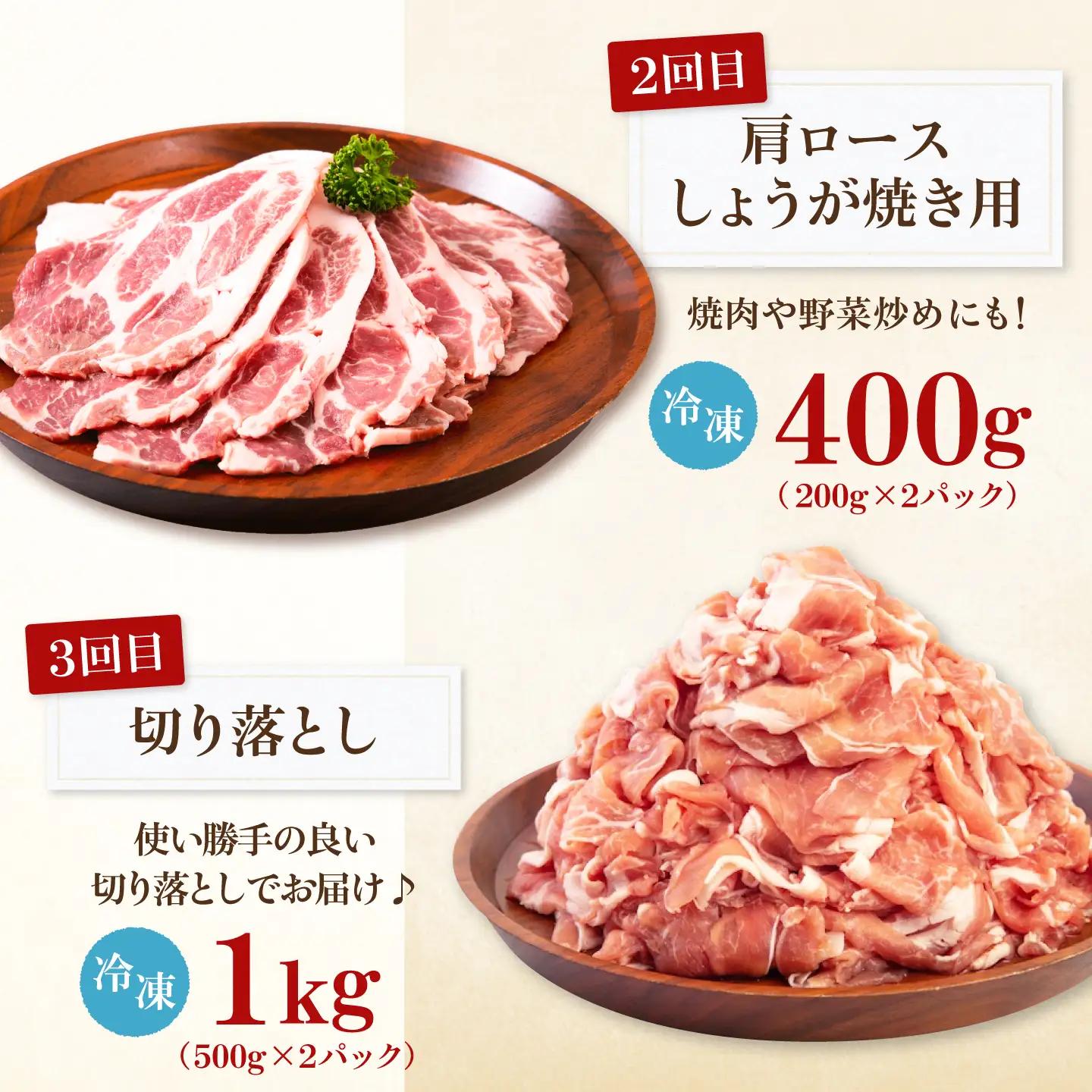 【全5回】 バラエティ定期便 2-3人前 豚肉 定期便 AJAP126
