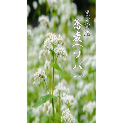 ふるさと納税 森町 【黒い宝石】国産ソバ蜂蜜【森町SF】 |  | 01