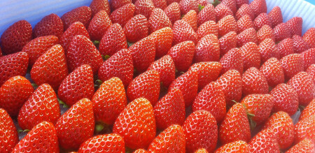 ［先行予約］いちご（まりひめ）　1パック(11粒入り）×4パック　ゆりかーご包装  ［2026年3月中旬から4月中旬にお届け予定］tagfam004