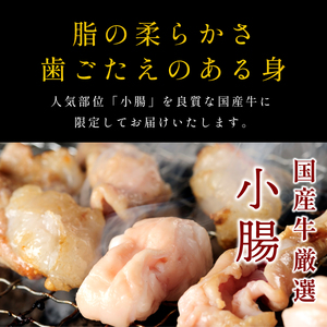 〈スピード出荷〉小腸ホルモン （しょうゆダレ 小分け1kg）ホルモン  MSK030