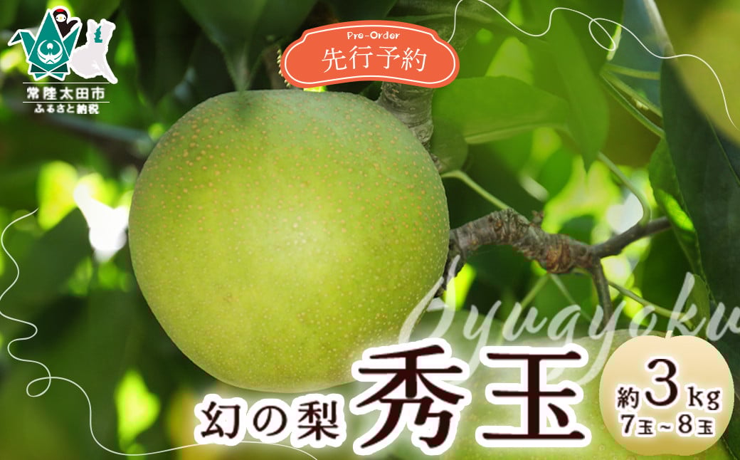
            【先行予約 2026年】『幻の梨』秀玉 約3㎏ 常陸太田市からお届け 7玉～8玉 | 茨城県 常陸太田市 桧山果樹園 幻の梨 秀玉 梨 フルーツ 高級 産地直送 限定品 贈り物 新鮮 お取り寄せ デザート ギフト 風味豊か 青梨 大玉 香り 上品 希少価値 珍しい 地域 甘い 限定 果物 果樹
          