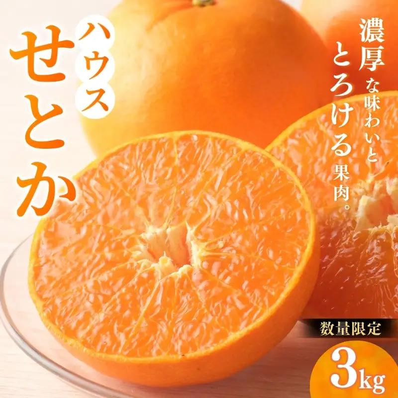 せとか 阪口農園のハウスせとか 3kg【msa001B】