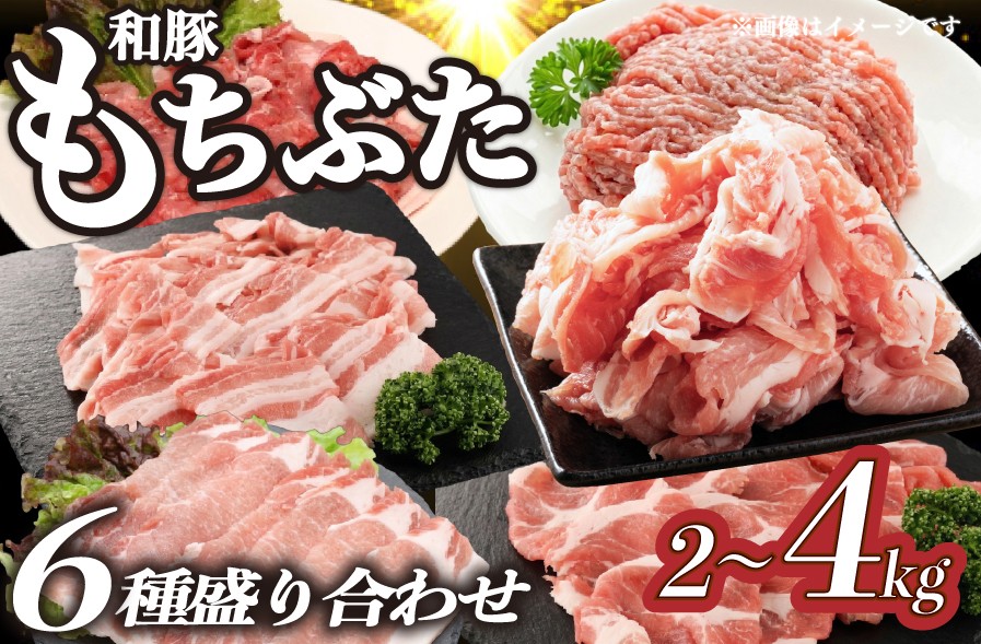 
                  豚肉 和豚 もちぶた バラエティパック 2kg 4kg 肩ロース バラ ロース もも ひき肉 小間切れ 食べ比べ ブランド豚 和豚もちぶた ブランド 美味しい豚 豚肉 肉 にく 肉料理 夕食 晩ごはん ポーク おかず 小分け 便利 肉の片山 新潟県 新発田市 katayama007P
                