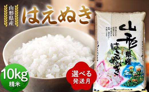 
                  ≪選べる発送月≫ 令和7年度 山形県産 はえぬき 10kg(5kg×2) 精米 白米 お米 米 米米 新米 ご飯 ごはん ブランド米 銘柄米 2025年産 令和7年度産 家庭用 自宅用 贈答用 お取り寄せ 食品 山形県 戸沢村 F7W-0289var
                