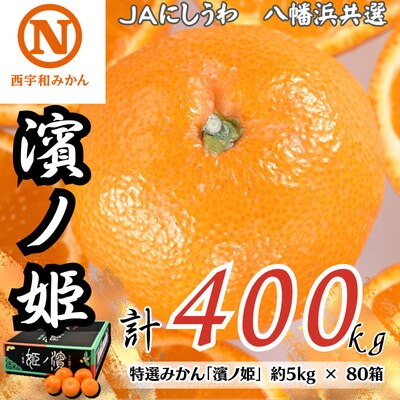 特選みかん「濱ノ姫」計400kg(約5kg×80箱)【H08−81】【1510459】