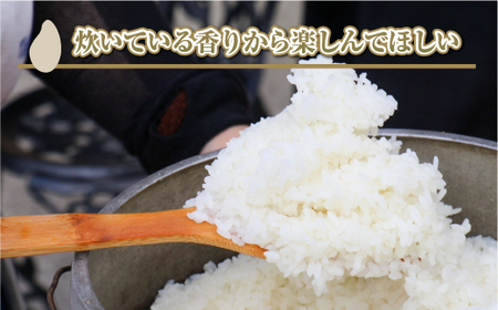 【定期便／全3回】無洗米5kg 新潟県魚沼産コシヒカリ「山清水米」 