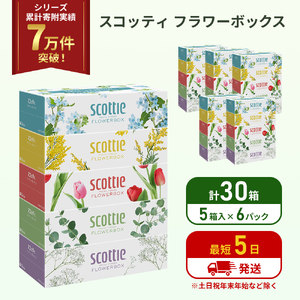 ボックスティッシュ スコッティ 30箱入 ティッシュペーパー