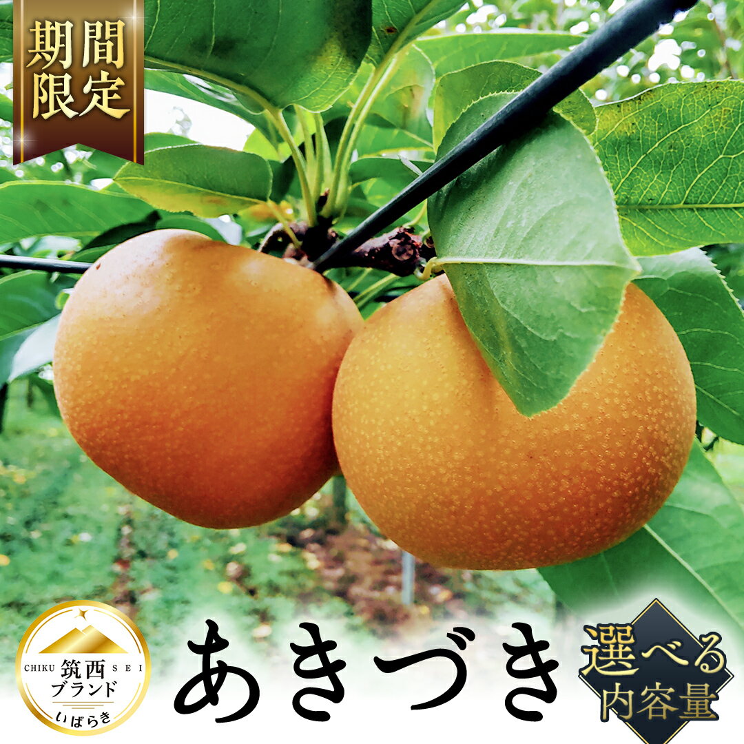 【ふるさと納税】【 JA 北つくば 】 筑西ブランド 認証品 あきづき ( 選べる 内容量 ) 2025年産 先行予約 梨 果物 フルーツ なし ナシ 和梨