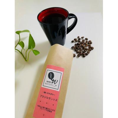 ふるさと納税 和泉市 直火自家焙煎　ブラジルサントス(豆)