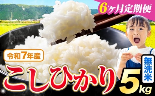 【6ヶ月定期便】令和7年産  無洗米 こしひかり 5kg《お申込みの翌月出荷》熊本県産 ふるさと納税 無洗米 精米 ひの 米 こめ ふるさとのうぜい コシヒカリ コメ お米 おこめ