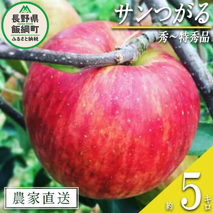 【ふるさと納税】 りんご サンつがる 秀 〜 特秀 5kg 中村ファーム 沖縄県への配送不可 令和7年度収穫分 長野県 飯綱町 〔 信州 果物 フルーツ リンゴ 林檎 長野 14000円 予約 農家直送 〕発送時期：2025年9月上旬〜2025年9月中旬