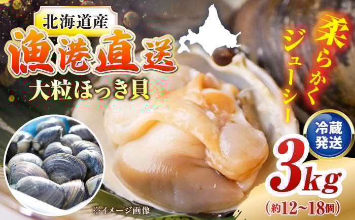 
            7月中旬以降順次発送！厚真町近海で獲れた 活ほっき貝 3kg（約12〜18個）《厚真町》【鵡川漁業協同組合】 ほっき ほっき貝 ホッキ ホッキ貝 北寄貝 海鮮 冷蔵配送 北海道 [AXAL003]
          
