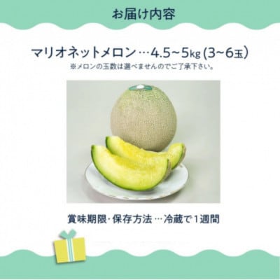 南九州市産マリオネットメロンB等級 約4.5～5kg【配送不可地域：離島】