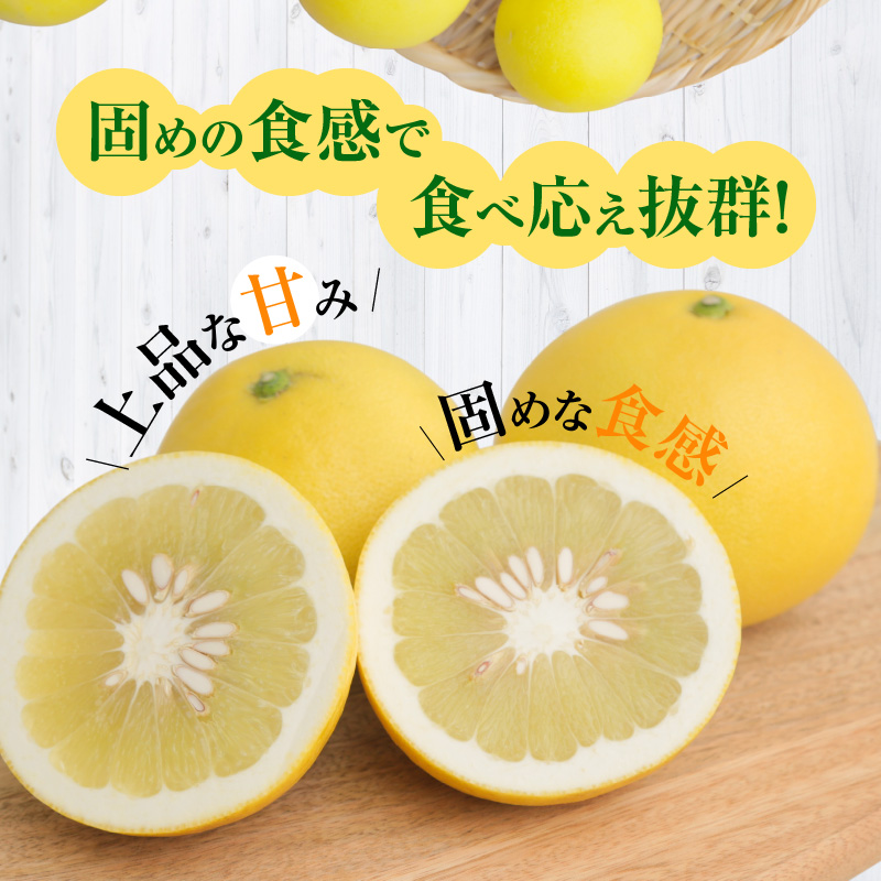 S040-022_農家の手摘み パール柑 9kg以上〈先行予約〉 9kg以上