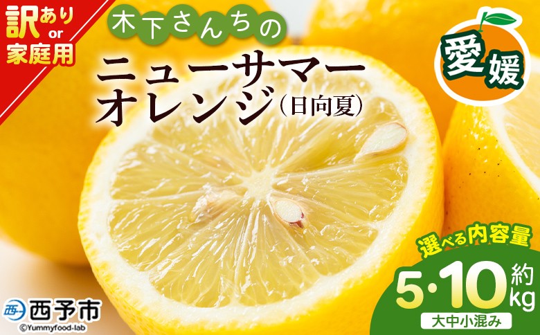 
                  木下さんちのニューサマーオレンジ 訳あり 約5kg/10kg（大中小サイズ混み） 柑橘類 日向夏 ミカン 蜜柑 果物 くだもの フルーツ 国産 特産品 木下農園 愛媛県 西予市【常温】『2026年4月上旬～5月上旬に順次出荷』
                