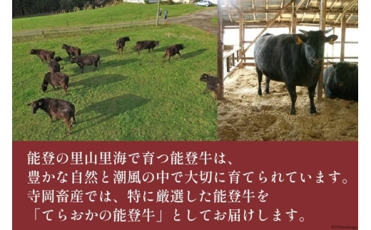 牛肉 能登牛 肩ロース (4〜5等級) しゃぶしゃぶ用 300g [寺岡畜産 石川県 宝達志水町 38601305] 肉 お肉 しゃぶしゃぶ しゃぶしゃぶ肉 ロース 肩ロース 牛 国産 冷凍 和牛