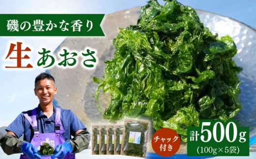 上五島産 生あおさ 100g×5袋 あおさ  海藻 味噌汁の具【ごとうみ】 [RCR001]