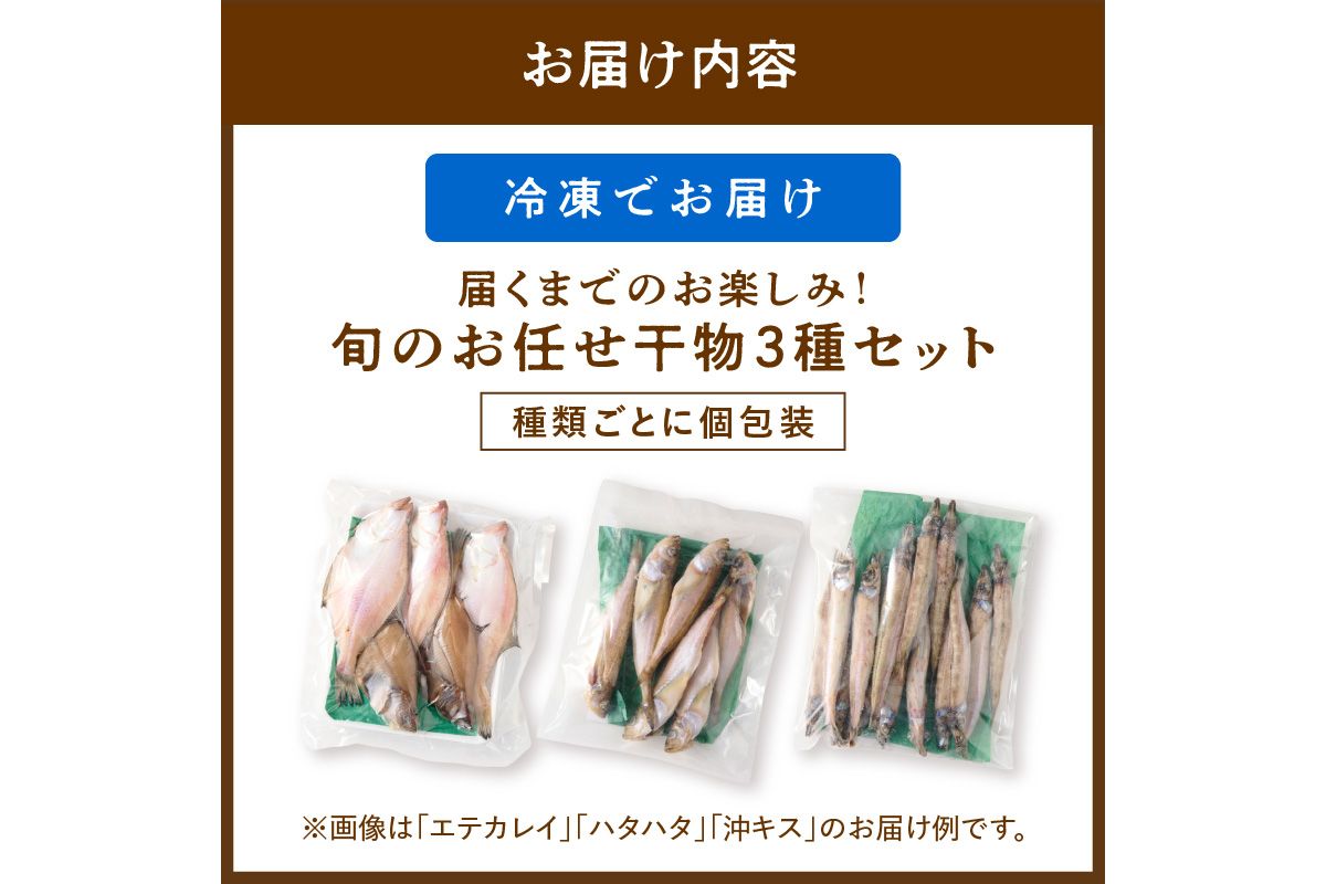 京丹後の地元魚屋が作ったお任せ干物セット（冷凍）　TB00024