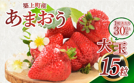 「あまおう」15粒【1月中旬以降順次発送】いちごあまおう [ABAG004]