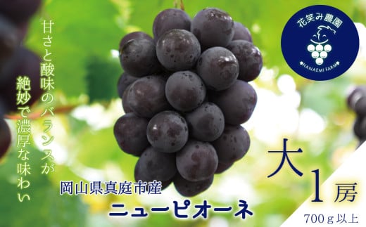 hana45.岡山　花笑み農園の『ニューピオーネ』700g以上(大1房)