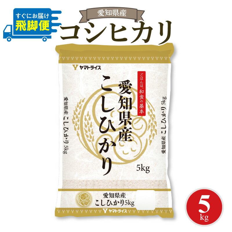 【ふるさと納税】数量限定 すぐにお届け 愛知県産コシヒカリ 5kg　安心安全なヤマトライス お米 弁当 おにぎり 食品 食べ物 常温 お取り寄せ 送料無料 愛知県 碧南市