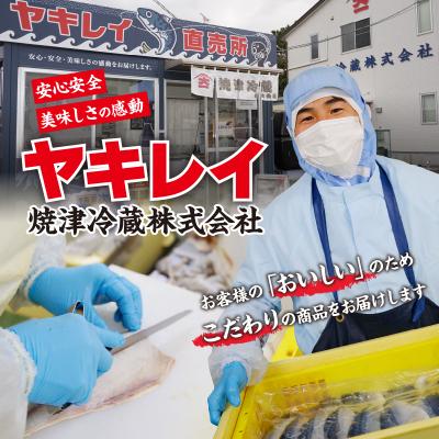 ふるさと納税 焼津市 5.0kg以上! 国内産 無添加 さば フィレ(a24-033) |  | 02
