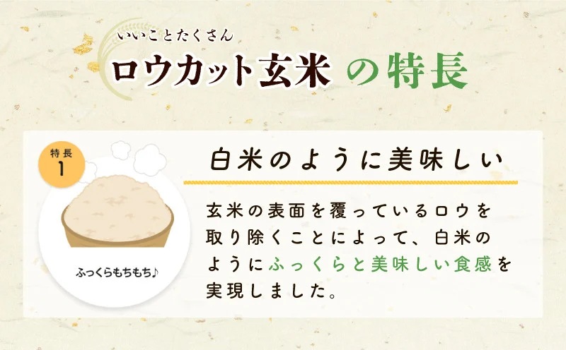金芽米4.5kg＋金芽ロウカット玄米2kgセット 【ご飯 ごはん お米 精米 金芽米計量カップ付】 099H4352